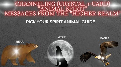 Unlocking the Mysteries of Fur Magic: A Guide for Beginners